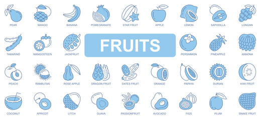 Poster - Fruits icons set in duotone outline stroke design for web. Pack pictograms of pear, mango, banana, pomegranate, apple, lemon, tamarind, mangosteen, jackfruit, persimmon, other. Vector illustration.