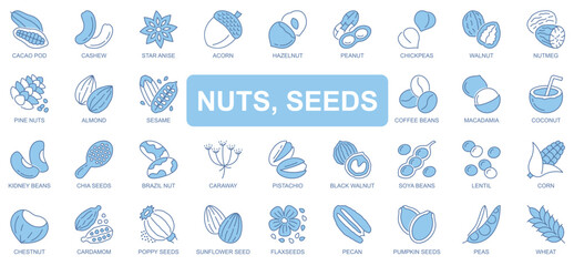 Poster - Nuts and seeds icons set in duotone outline stroke design for web. Pack pictograms of cacao, cashew, star anise, acorn, hazelnut, peanut, chickpea, almond, coffee bean, other. Vector illustration.