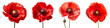Collection set of poppy flowers isolated on transparent background