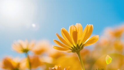 Wall Mural - A close up of a yellow flower with the sun shining through, AI