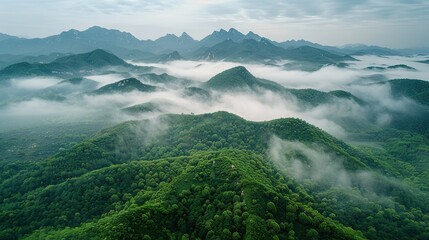 Sticker -   Bird's-eye view of mountain range with low clouds & trees in foreground