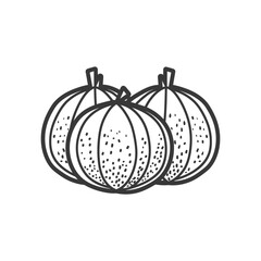 Wall Mural - Hand drawn Sketch of Three Pumpkins