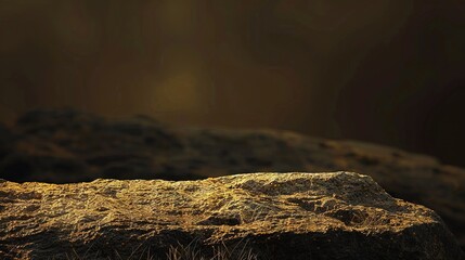 Poster -   A small bird perches atop a rock amidst a sea of green grass and dirt on a bright sunlit day