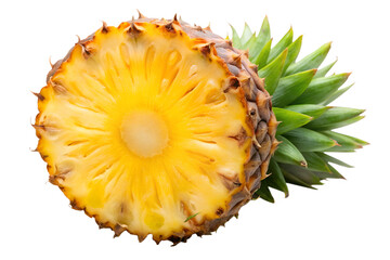 a tropical pineapple slices with rough skin