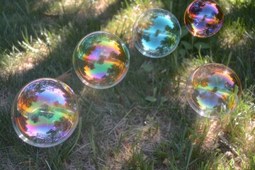 Poster - bunch of bubbles that are in the water, Soap bubbles reflecting rainbows Iridescent bubbles with vibrant rainbow reflections