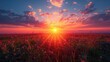 © studio clever - Vibrant sunset over a flower field - generative ai