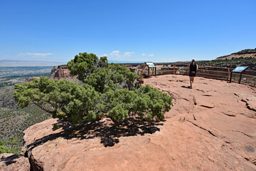 Wall Mural - Woman photographing and enjoying scenery of Colorado National Monument near Fruita, Colorado on clear sunny summer day..