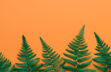 Wall Mural - Green fern leaves onorange paper background