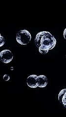 Wall Mural - abstract flying transparent blue bubbles on black background. shallow depth of field. soap bubbles f
