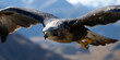 © Lila Patel - Eagle Eyed Explorer: A sharp-eyed bird of prey soaring above a vast landscape