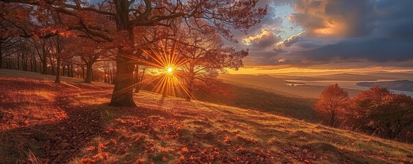 Wall Mural - Sun setting over an autumn hillside