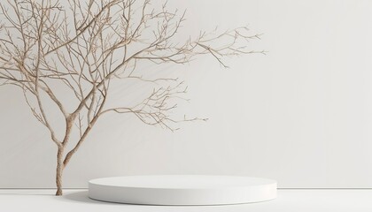 Minimal mockup background for product presentation. Podium and dry tree twigs branch with white sand beach on white background. 3d rendering illustration, generative ai