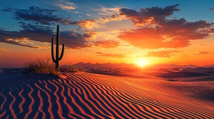 Wall Mural - a sunset over a desert with a cactus in the foreground