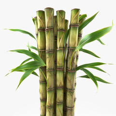 Wall Mural - bamboo green nature plant stalks leaves fresh tropical foliage natural growth bunch organic closeup stem 