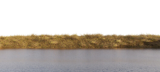 Poster - grass line along river