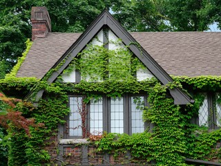 Old Tudor style house with vine covered gable