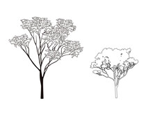 Tree Drawing Collage Free Stock Photo - Public Domain Pictures