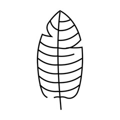 Poster - stelizia tropical leaf line icon vector. stelizia tropical leaf sign. isolated contour symbol black illustration