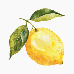 Canvas Print - Vibrant watercolor lemon illustration