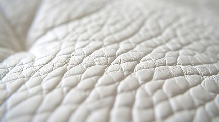 Fototapete - Closeup artificial leather white colour for texture background  top view : Generative AI