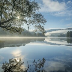 Sticker - Misty morning on a serene lake with a tree reflected in the water.