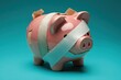 © TuruMuru - Damaged piggy bank symbolizing financial struggles