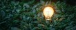 © SynthArt Studio - A glowing lightbulb nestled among dense green foliage, representing the use of sustainable energy to reduce carbon footprint and support a greener future