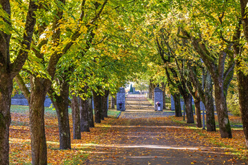 Sticker - Walkway to a gate at a cemetery in autumn