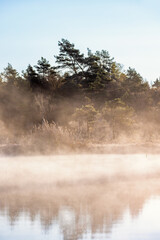 Sticker - Morning mist at a forest lake in autumn