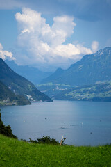 Wall Mural - Rural landscape in the Swiss Alps. Lake Lucerne, Switzerland. A view to the lake of Lucerne. Rural landscape. Resort surrounded by swiss Alps mountains on Lake Lucerne, Switzerland.