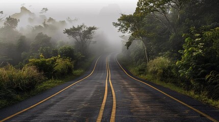 A road isolated on transparent background which is very beautiful