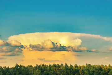 Wall Mural - A huge cloud rising upward and swirling under the action of air currents.