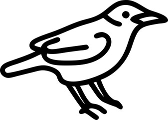 common blackbird, icon outline