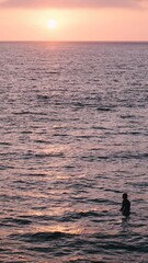 Canvas Print - sunset on the beach