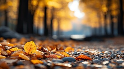 Canvas Print - Autumn background with golden autumn leaves falling on the ground in a forest 