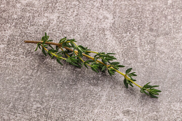 Poster - Aroma seasoning thyme stem with leaves