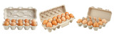 Carton of eggs arranged on transparent background