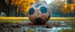 © MICHAEL KUK - Soccer ball lying on a soccer field. Illustration on the theme of sports and hobbies.  Generative AI