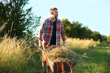 Wall Mural - Farmer with wheelbarrow full of mown grass outdoors