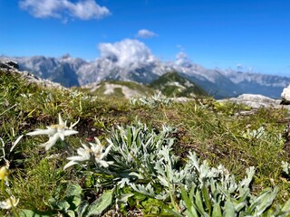 Sticker - Wanderung Berchtesgadener Alpen zum Hohen Göll