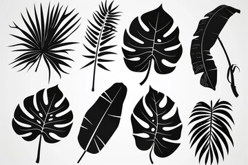 Wall Mural - Collection of tropical leaves on a white background