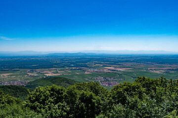 view of Alsace plain in summertime