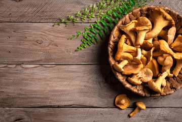 Wall Mural - Chanterelle forest mushrooms