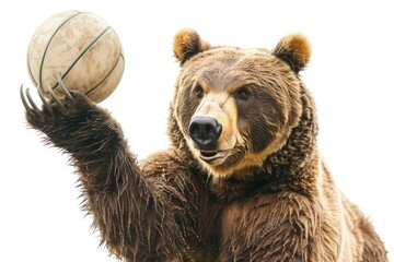 a large brown bear holds a basketball, ready for a game