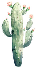 Wall Mural - Watercolor cactus with pink flowers