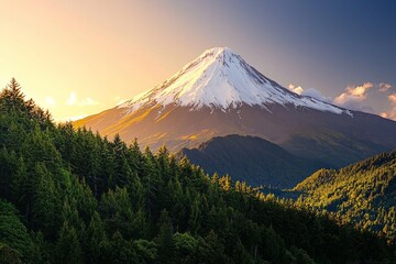 Wall Mural - A white snow-capped mountain peak rising above a green forest, during sunrise. 