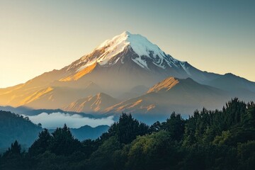 Wall Mural - A white snow-capped mountain peak rising above a green forest, during sunrise. 