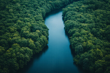 Poster - A river winding through a dense forest, where the whispers of the wild are found in the soft lapping of water against the shore,