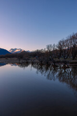 Wall Mural - Line of trees with reflection on the lake.