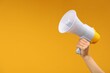 © New Africa - Woman holding megaphone speaker on orange background, closeup. Space for text